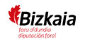 dipu_foral